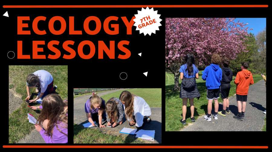 Ecology Lessons collage with students outdoors